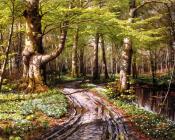 Skovparti Med Alob, River Landscape - 佩德·莫克·曼斯特德